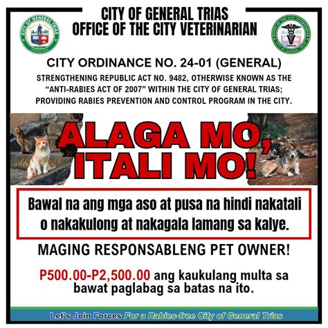 barangay ordinance aso mo itali mo|DEPARTMENT OF THE INTERIOR AND LOCAL .